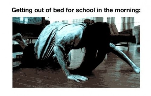 hornoxe.com_picdump234_129