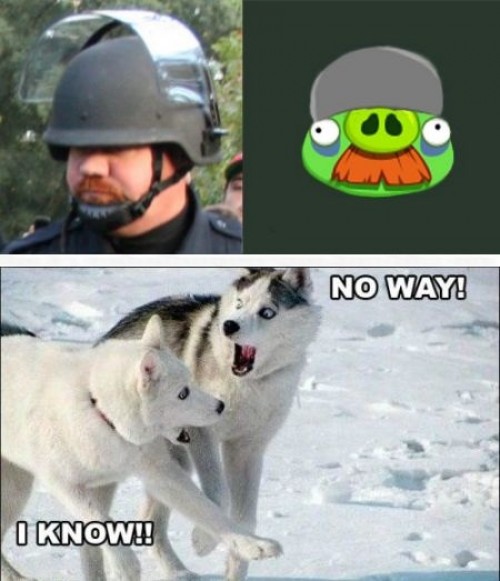 hornoxe.com_picdump234_139