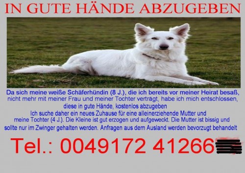 hornoxe.com_picdump235_013