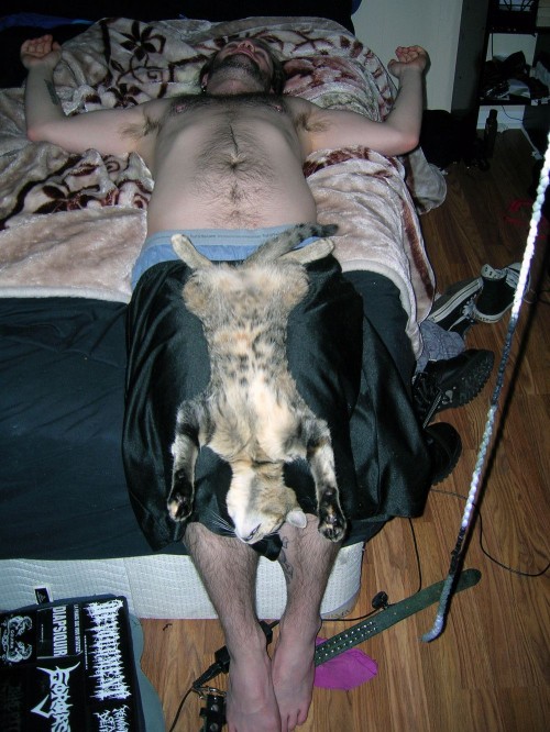 hornoxe.com_picdump235_038