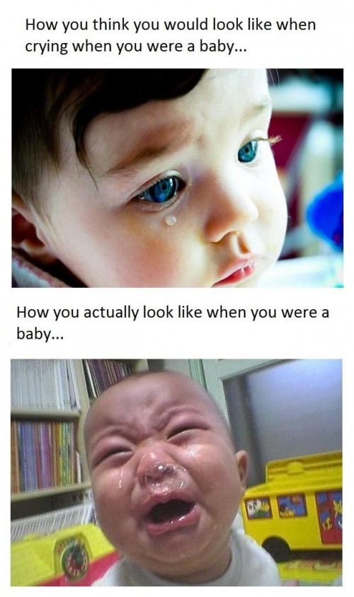 hornoxe.com_picdump235_072