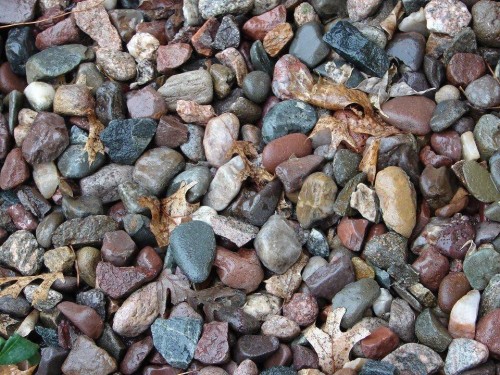 hornoxe.com_picdump235_100