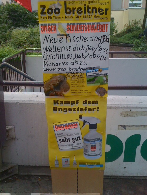 hornoxe.com_picdump235_103