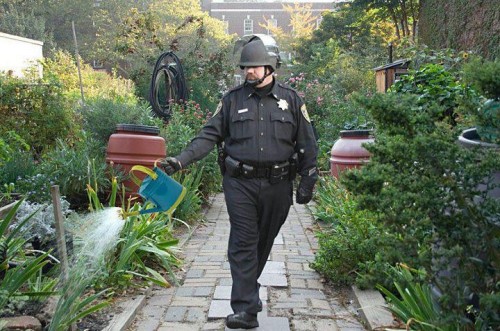 hornoxe.com_picdump235_133