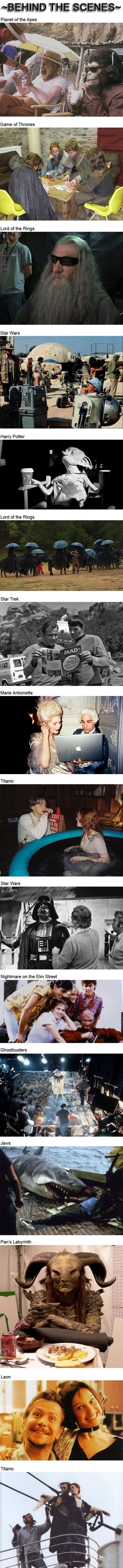 hornoxe.com_picdump236_036