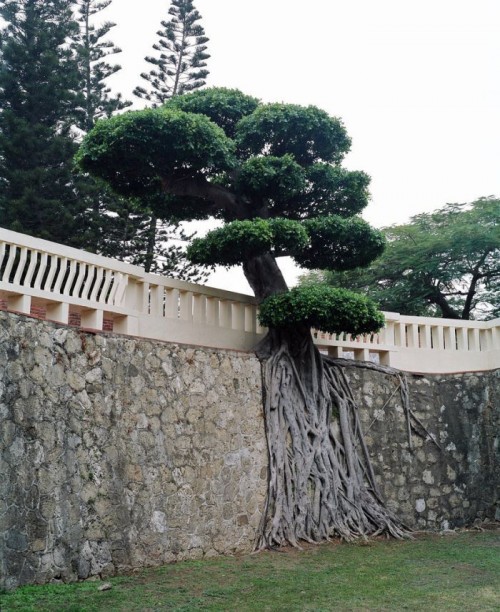 hornoxe.com_picdump236_075