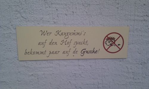 hornoxe.com_picdump236_093