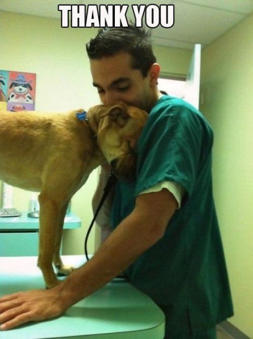 hornoxe.com_picdump236_127