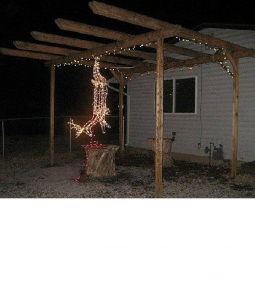 hornoxe.com_picdump236_134