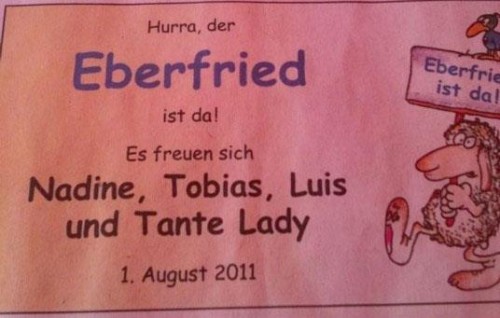 hornoxe.com_pcidump237_027