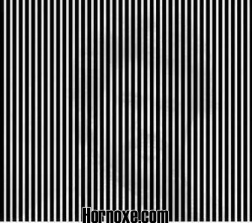 hornoxe.com_pcidump237_038