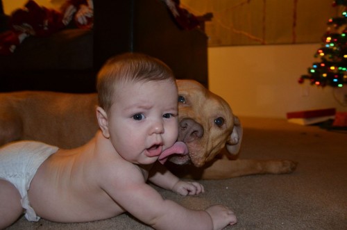 hornoxe.com_pcidump237_085