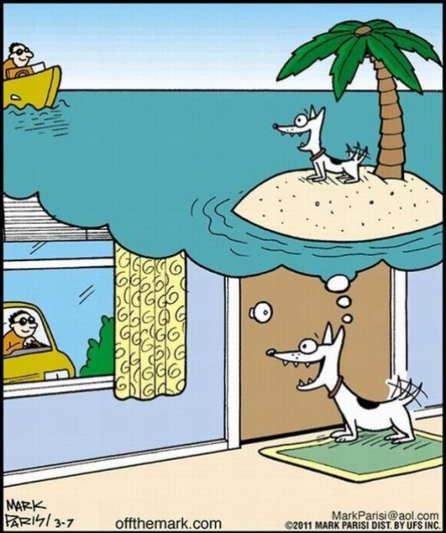 hornoxe.com_pcidump237_105