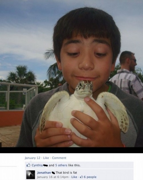 hornoxe.com_pcidump237_117