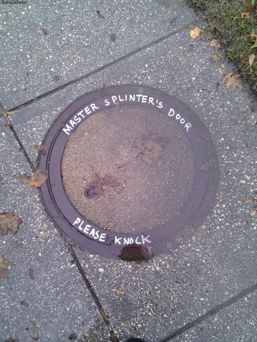 hornoxe.com_pcidump237_150