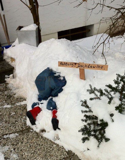 hornoxe.com_picdump238_024