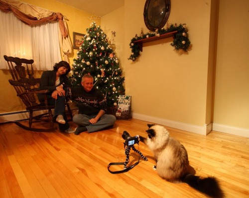 hornoxe.com_picdump238_071