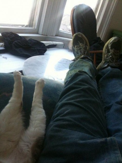 hornoxe.com_picdump238_084