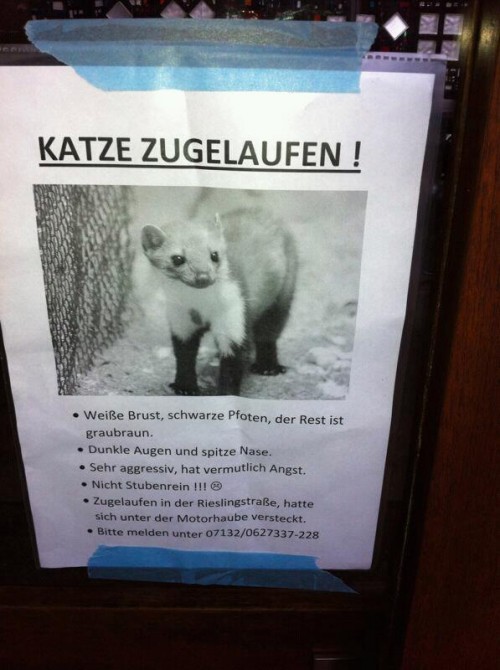 hornoxe.com_picdump238_112