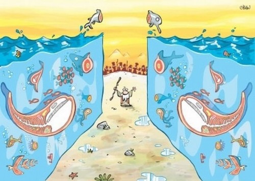 hornoxe.com_picdump238_129