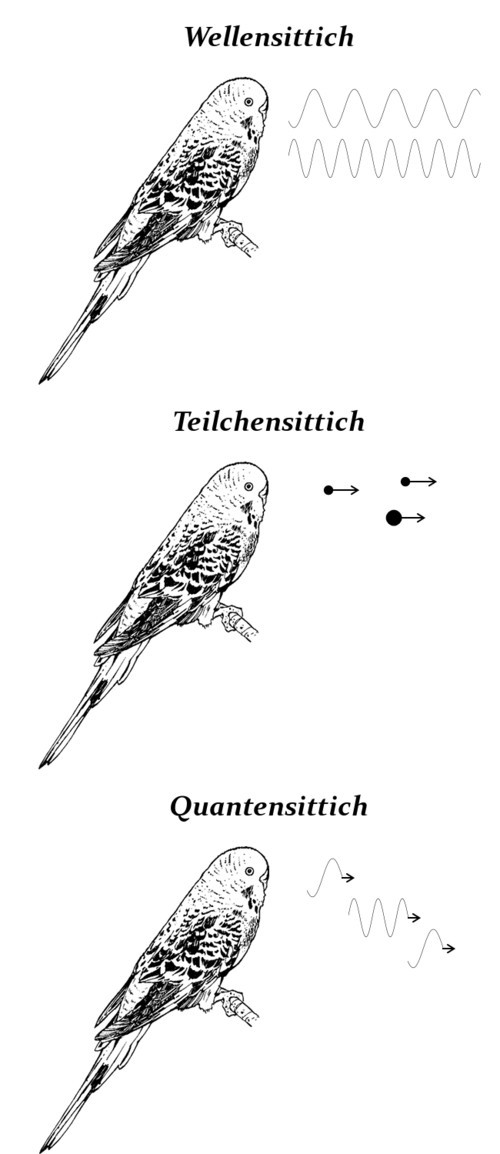 hornoxe.com_picdump240_04