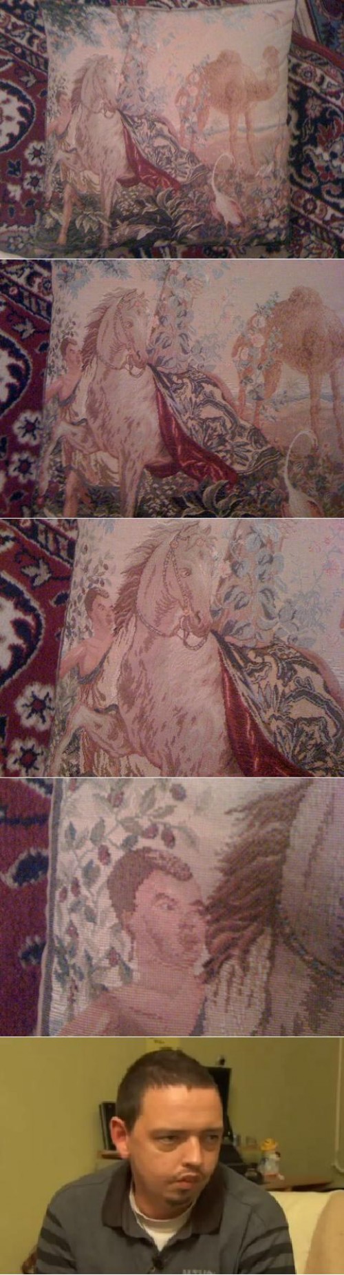 hornoxe.com_picdump240_07