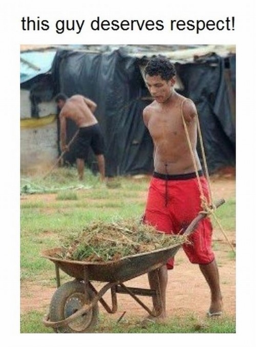 hornoxe.com_picdump240_63