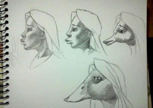 hornoxe.com_picdump240_71