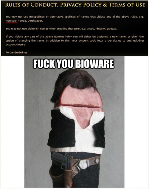 hornoxe.com_picdump240_78