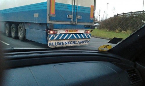 hornoxe.com_picdump241_021