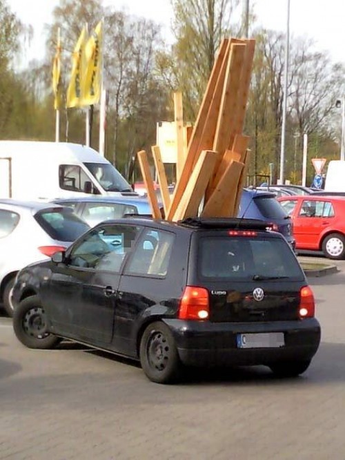 hornoxe.com_picdump241_034