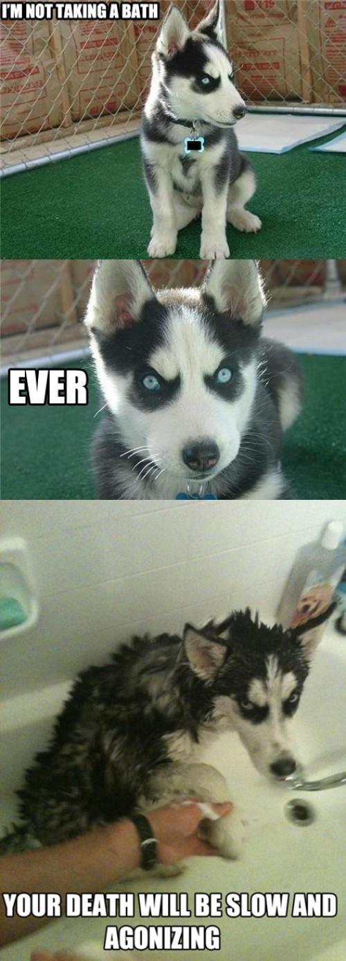 hornoxe.com_picdump241_044