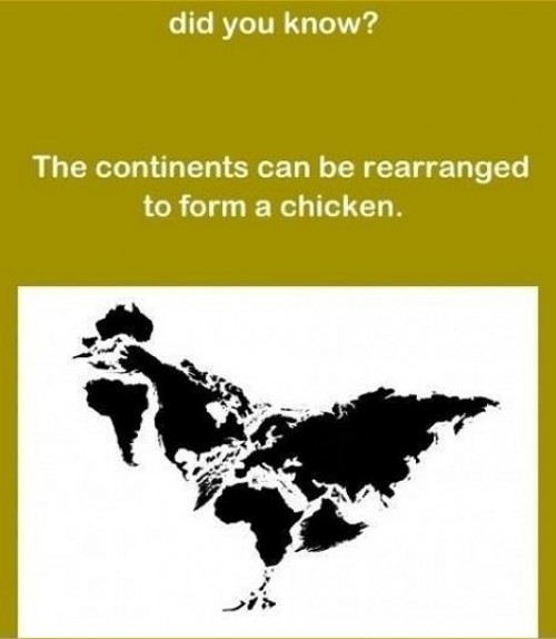 hornoxe.com_picdump241_061