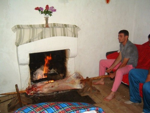 hornoxe.com_picdump241_065