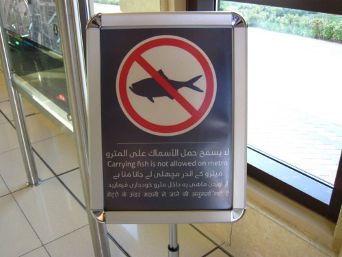 hornoxe.com_picdump241_082