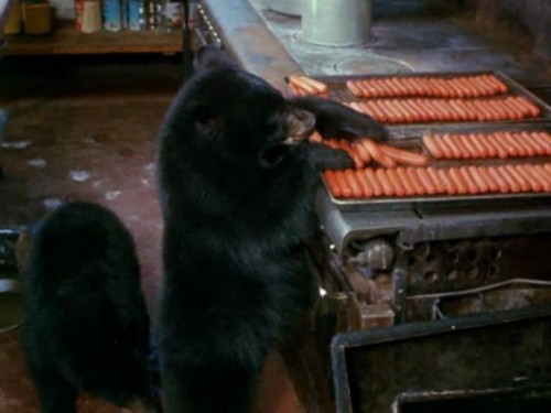 hornoxe.com_picdump241_098