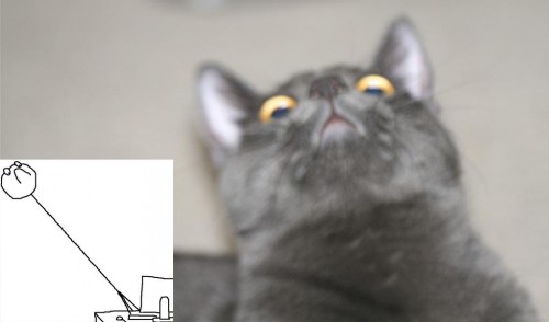 hornoxe.com_picdump241_103