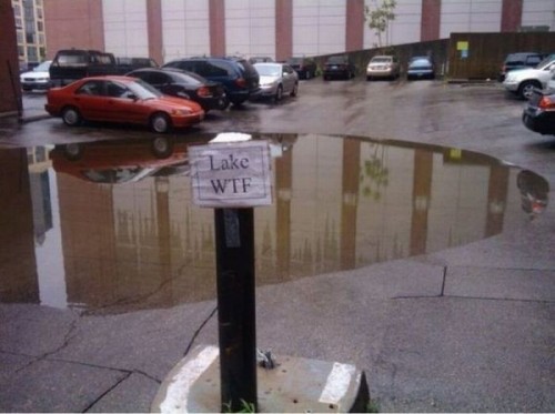 hornoxe.com_picdump241_149