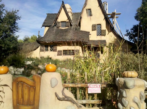 hornoxe.com_picdump241_180