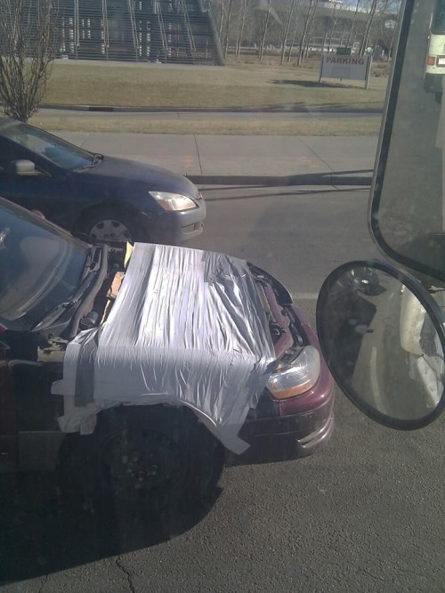 hornoxe.com_picdump241_181