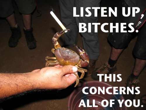 hornoxe.com_picdump242_010