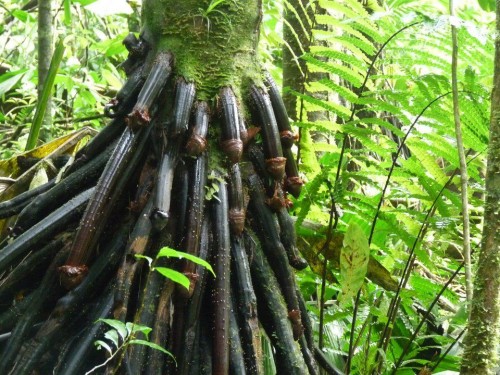 hornoxe.com_picdump242_029