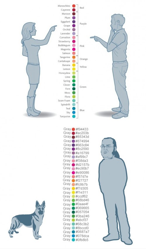 hornoxe.com_picdump242_044