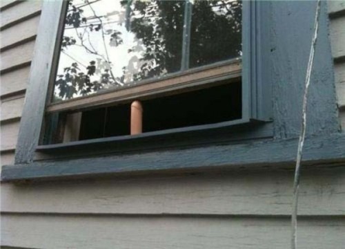 hornoxe.com_picdump242_106