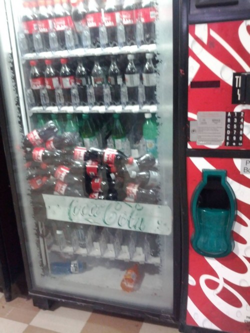 hornoxe.com_picdump242_110