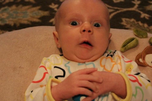 hornoxe.com_picdump242_115