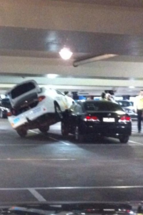 hornoxe.com_picdump243_011