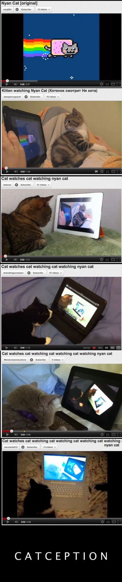 hornoxe.com_picdump243_092