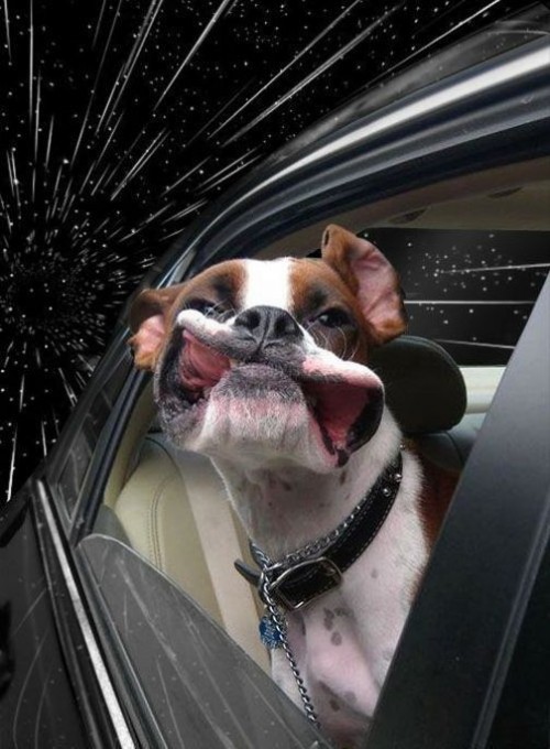 hornoxe.com_picdump243_108