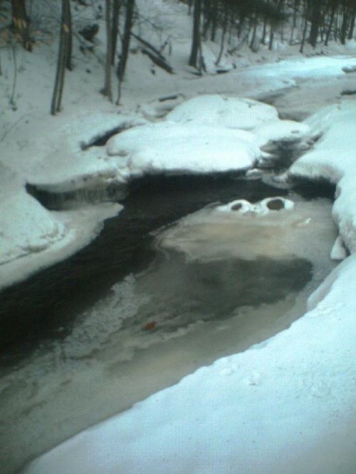 hornoxe.com_picdump243_119